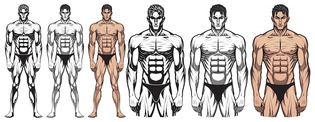 Vector bodybuilder masculino de cuerpo completo