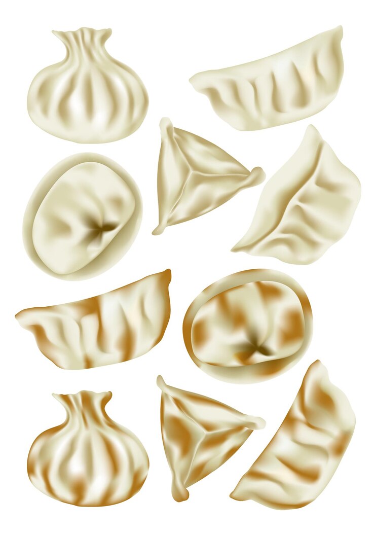 Vector bola de masa, wonton y gyoza de comida china al vapor y a la sartén realista