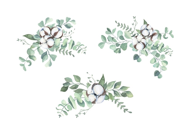 Vector bolas de algodón de acuarela y ramo de eucalipto