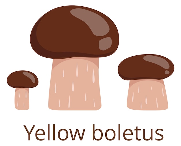 Boletus amarillo Icono de color de hongo de tapa marrón