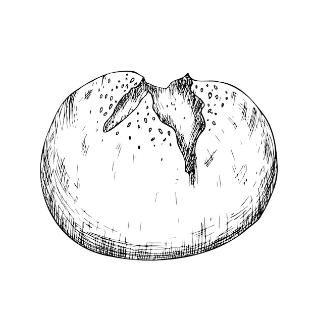 Bollo vectorial con semillas de sésamo tinta gráfica pan comida panadería baguete pastelería grano cereal pastel bollo pan
