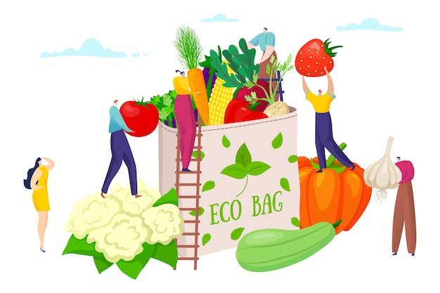 Bolsa ecológica con comida sana
