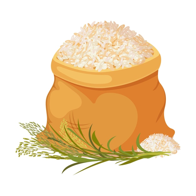 Bolsa llena de arroz cosecha de cultivos de granos con orejas contenedor lleno de basmati