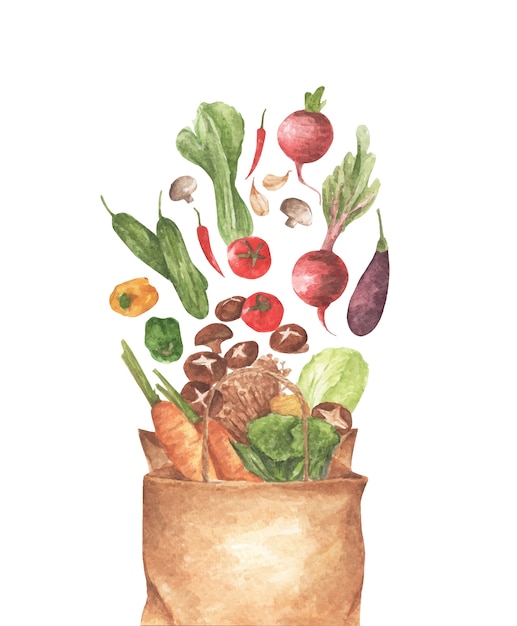 Bolsa de papel llena de diferentes verduras. sobre fondo blanco. vista superior. composición laica. ilustración de acuarela.