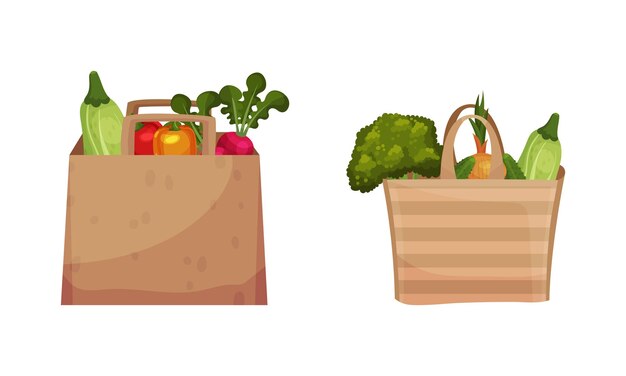 Bolsa de papel llena de verduras frescas del conjunto vectorial de verduras