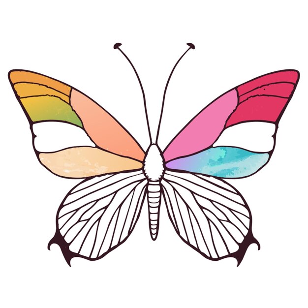 Vector bonita mariposa acuarela obras de arte vintage colores del arco iris ilustración vectorial arte de línea