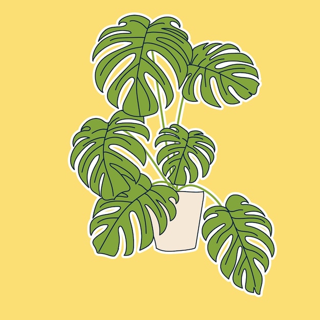 bonitas pegatinas de plantas de interior de Monstera y más