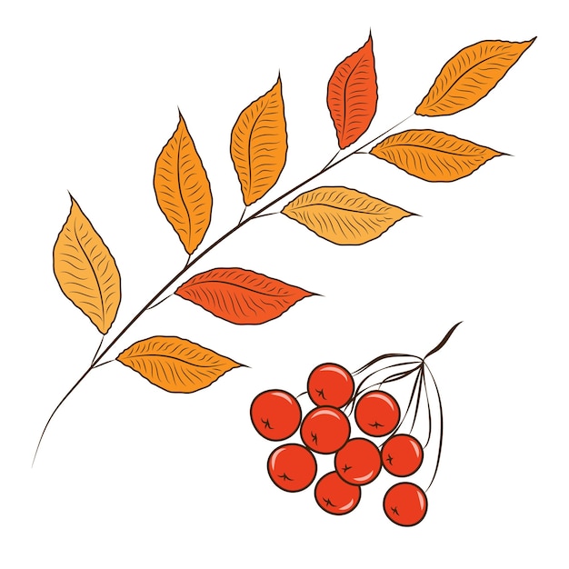 Un bonito clipart en estilo otoño con un cuervo