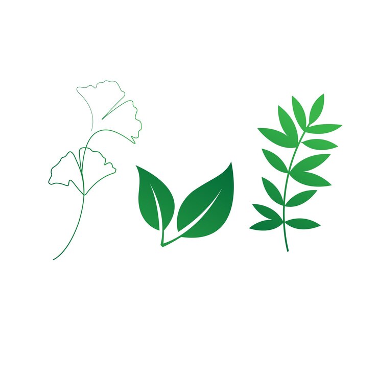 bonito diseño de vector de hoja aquí