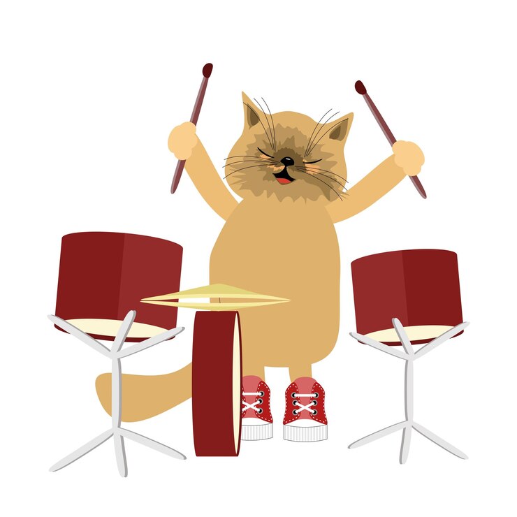 Vector bonito gato de dibujos animados jugando a los tambores en fondo blanco aislado