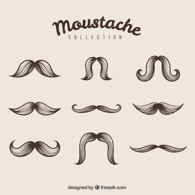 Vector bonitos bigotes elegantes dibujados a mano