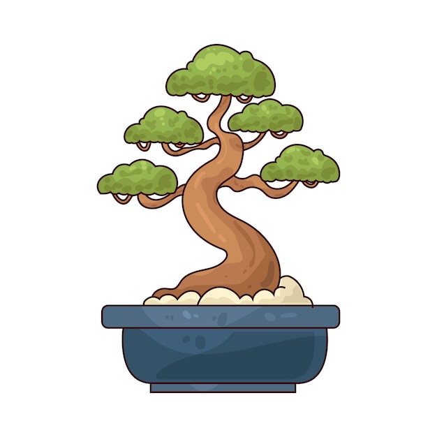 Bonsai Arbol