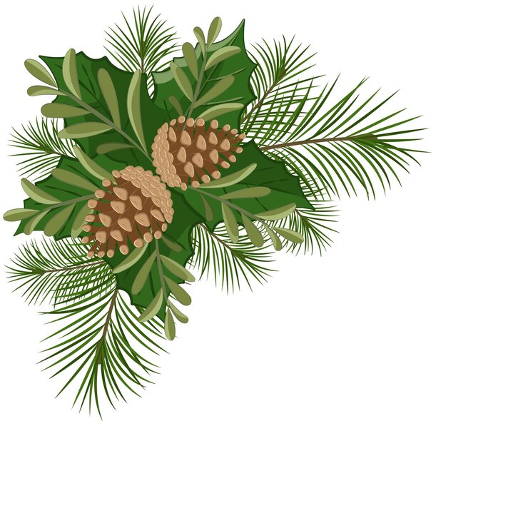 Vector borda de cono de conos de pino con rama diseño de invierno de navidad con espacio de copia vector de stock aislado