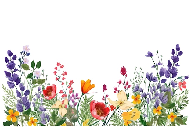 Vector borde botánico con flores y hojas de primavera naturaleza colección decorativa botánica ilustración vectorial colección aislada conjunto de hojas tropicales