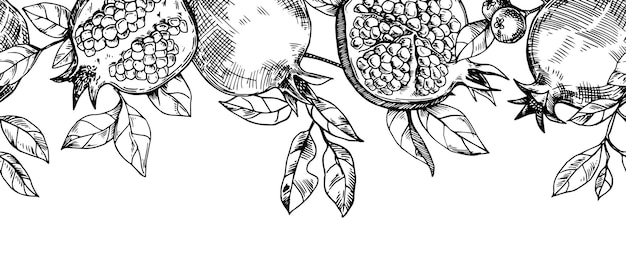 Vector borde sin costuras de frutas y hojas de granada patrón vectorial en estilo boceto