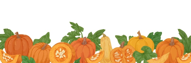 Borde dibujado a mano en otoño con calabazas, calabazas y hojas. Verduras naranjas de otoño. Banner con calabazas maduras frescas en estilo vintage. Ilustración de vector de color realista aislado sobre fondo blanco.