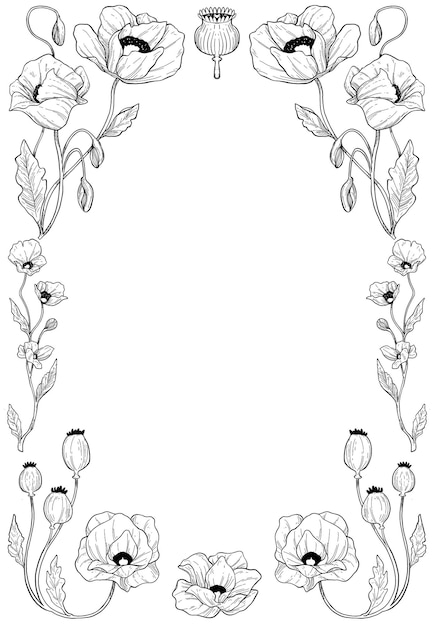 Vector borde de flor de amapola