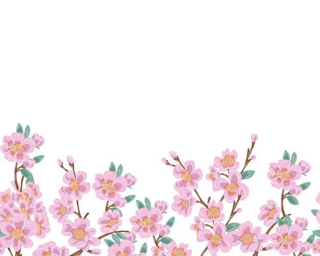 El borde de la flor de cerezo rosa