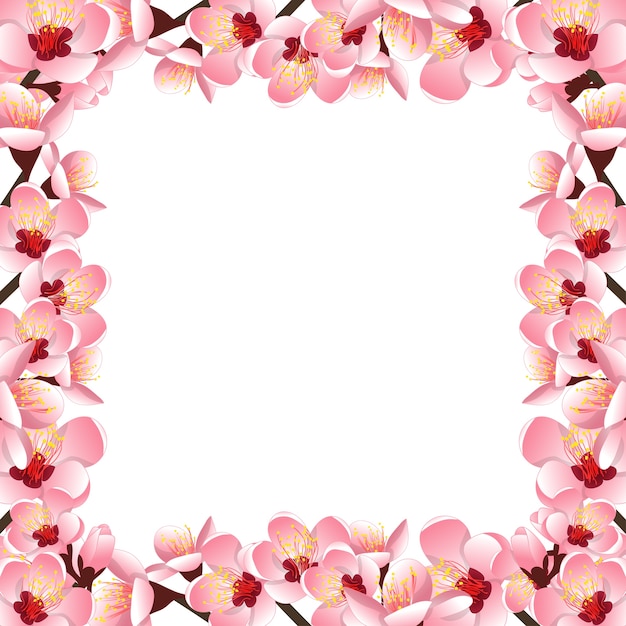 Borde de flor de melocotón