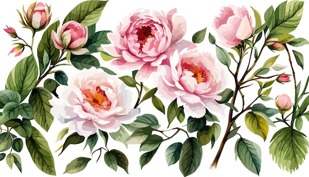 Vector borde de flores acuarela floral rosa con arreglo de corona de hortensias rosas peonías para tarjeta