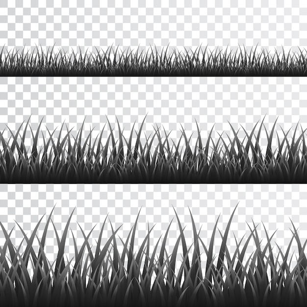 Borde de hierba gris en fondo transparente