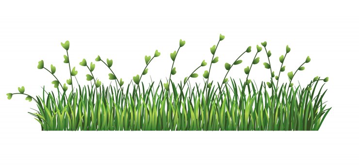 Vector borde de hierba verde. hojas verdes frescas y ramas de hierba. aislado sobre fondo transparente ilustración para usar como elemento de diseño