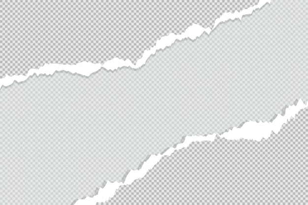 El borde de la hoja de papel rasgada en el fondo en blanco con la página rizada