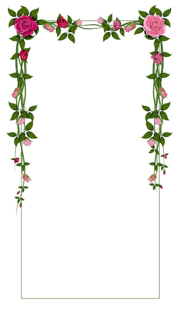 Borde de marco de flor rosa roja aislado. ilustración vectorial