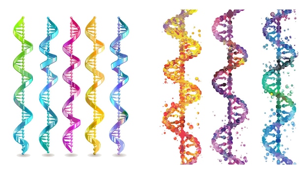 Vector el borde de la molécula de color para la ilustración vectorial de biología o biotecnología