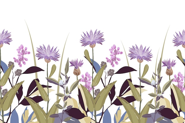 Borde de patrón sin costura floral vectorial Diseño panorámico horizontal con hierbas de acianos púrpuras