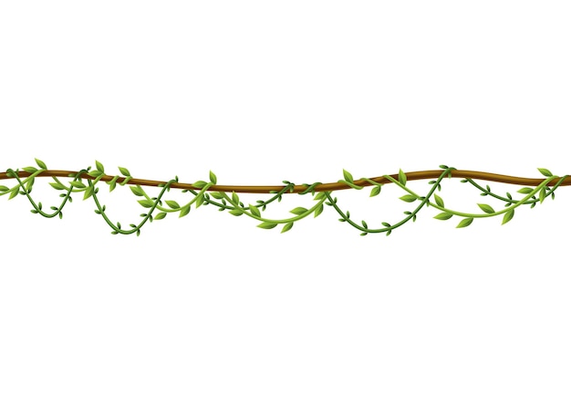 Borde de tallo de liana enredadera verde de la selva tropical o planta retorcida colgando de una rama enredadera de la jungla de dibujos animados planta de naturaleza tropical
