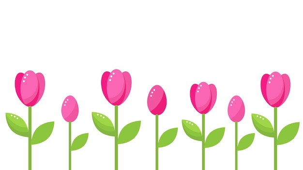 Borde de tulipán