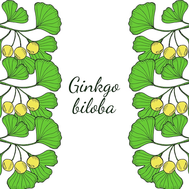 Borde vertical de ginkgo