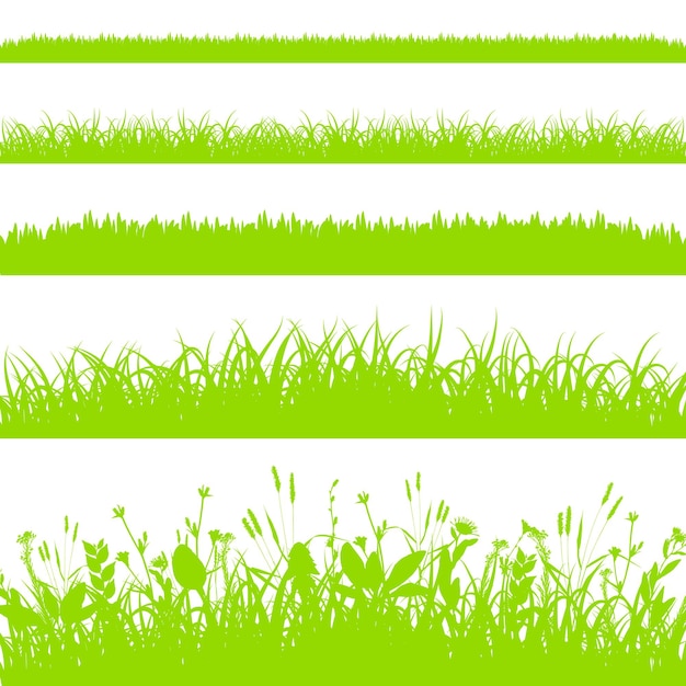 Los bordes de hierba verde se establecen aislados en el vector de fondo blanco