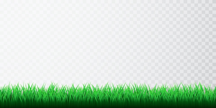 Vector bordes de hierba verde