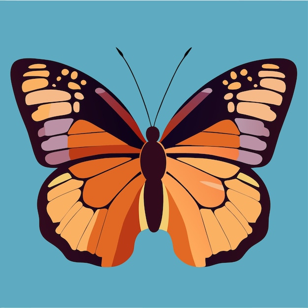 Bordes de mariposas que enmarcan sus visiones creativas