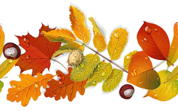 Bordillo sin costuras de hojas de otoño rojas y amarillas y castaño aislado sobre fondo blanco