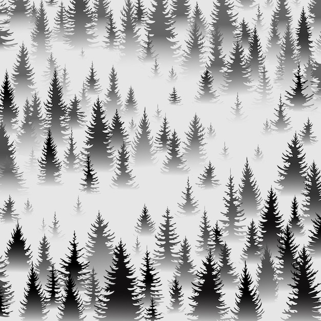 Bosque de abeto en la niebla de la mañana
