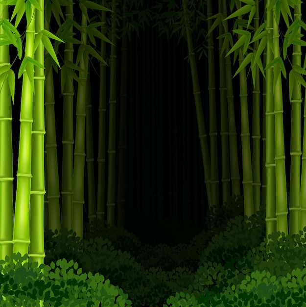 Vector bosque de bambú de fondo en la noche