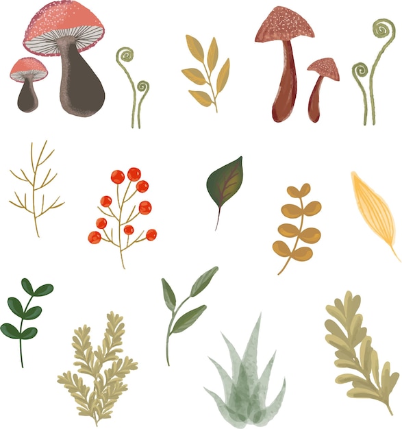 Bosque y bosque