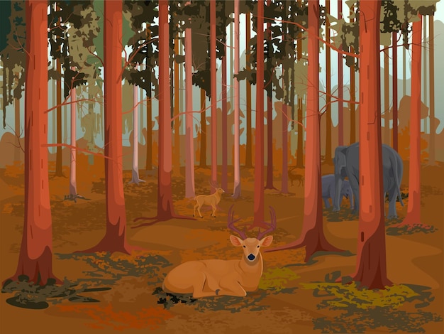 Bosque, ciervo y elefante en el bosque, bosque paisajístico durante el día, al aire libre en la jungla