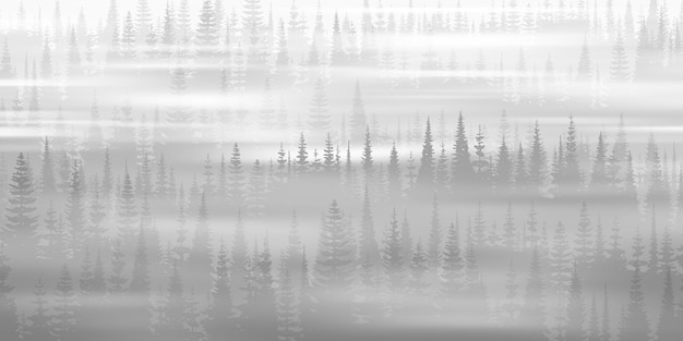 Vector bosque de coníferas en el paisaje blanco y negro de la mañana