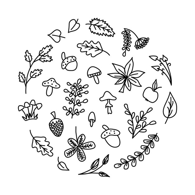 Bosque de otoño elementos de dibujo a mano.