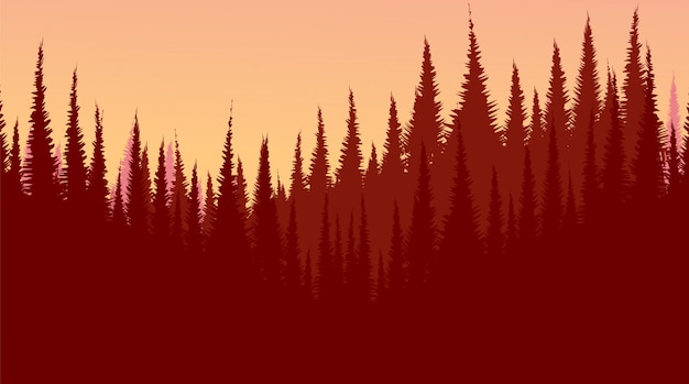 Vector bosque de pino rojo