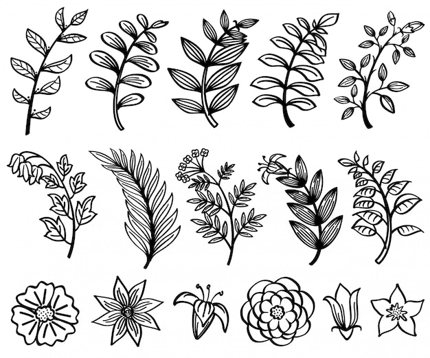 Bosqueje la mano dibujada rama y deja el elemento floral decorativo de la naturaleza del vector