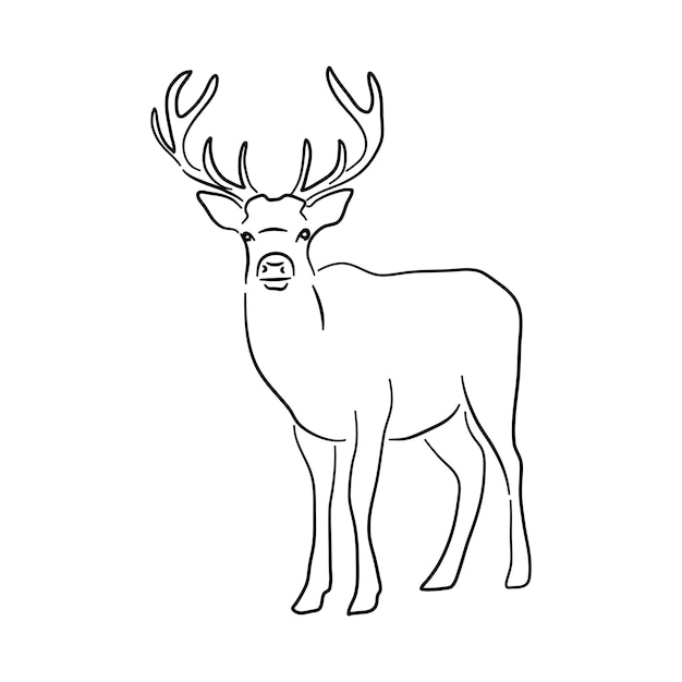 Bosqueje la silueta dibujada a mano de un vector de Deer Doodle aislado en un fondo blanco