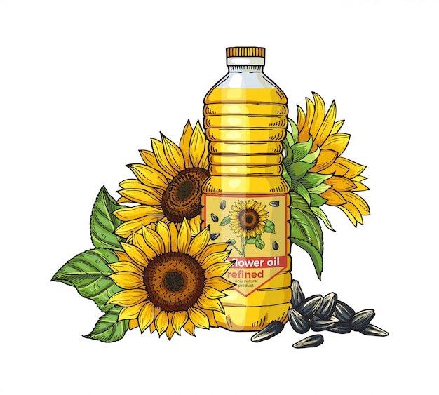 Vector bosquejo de aceite de girasol. semillas, girasoles y botella de aceite sobre fondo blanco.