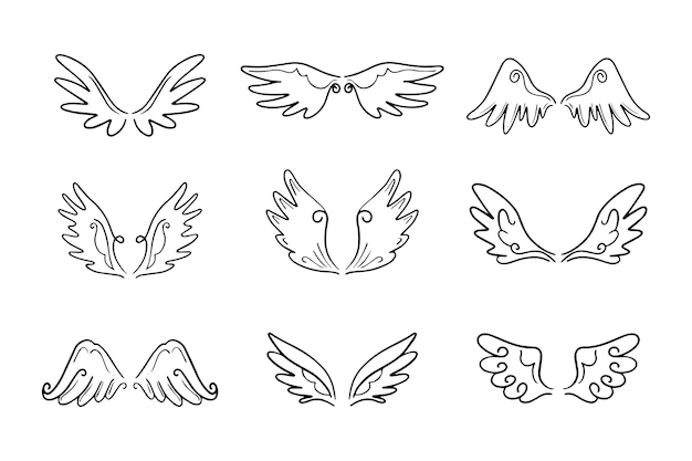 Lindo conjunto de alas de ángel