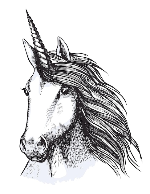 Bosquejo de cabeza de caballo unicornio para diseño de tatuaje