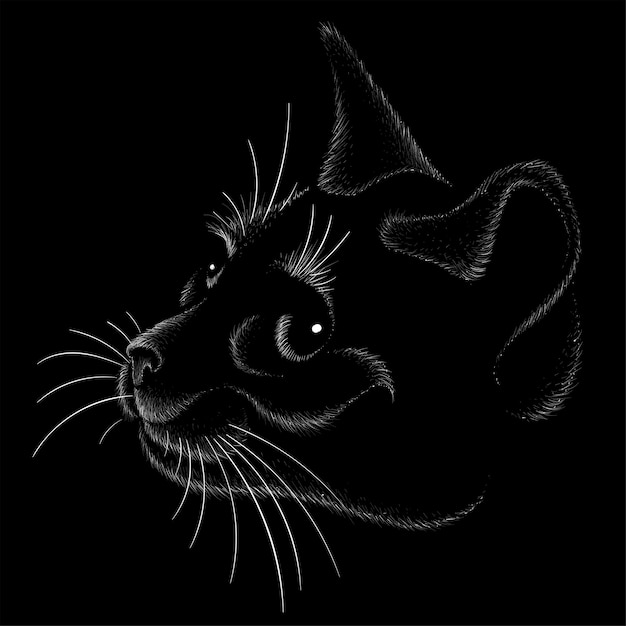 Vector bosquejo de cabeza de gato